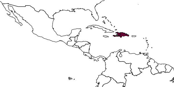 map of Myrmelachista gagates     Wheeler, 1936